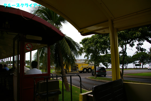 IMGP4340.jpg