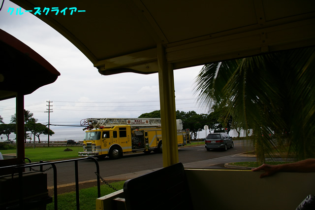 IMGP4341.jpg