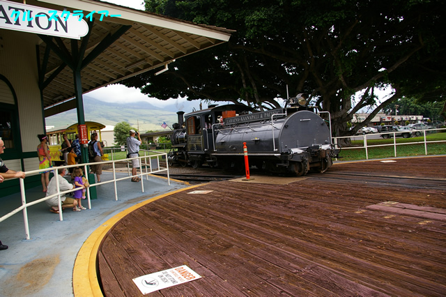 IMGP4372.jpg