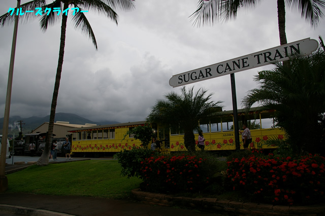 IMGP4384.jpg