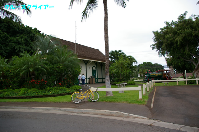 IMGP4385.jpg