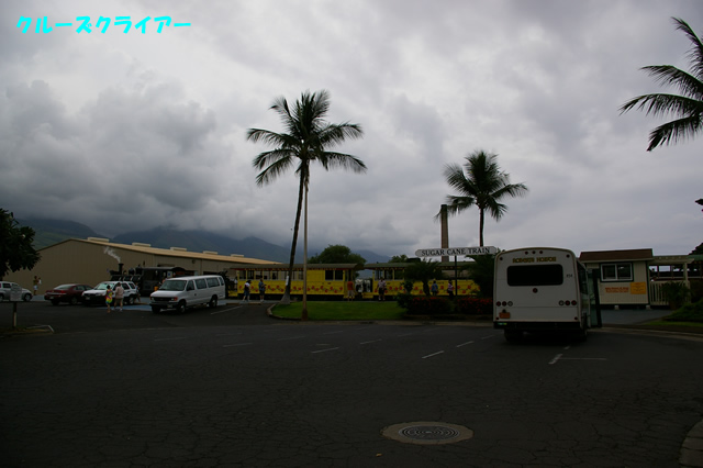 IMGP4386.jpg