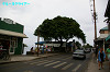 IMGP4395_thumb.jpg