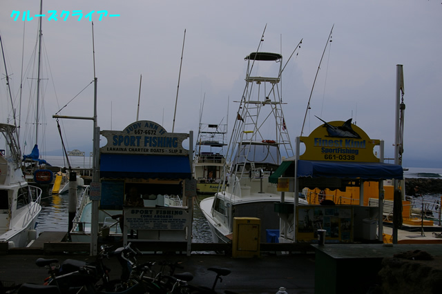 IMGP4405.jpg
