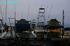 IMGP4405_thumb.jpg