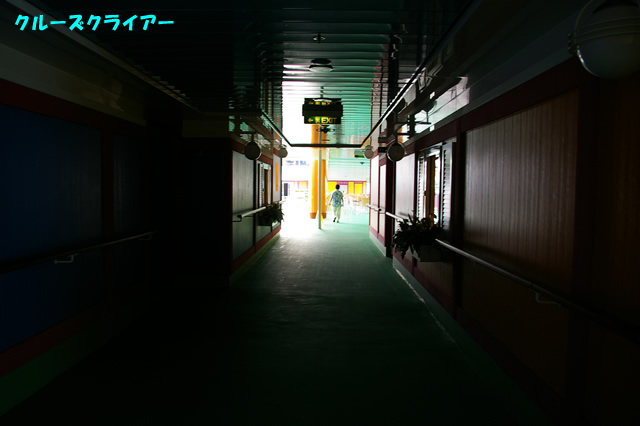 IMGP4465.jpg