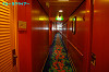 IMGP4516_thumb.jpg