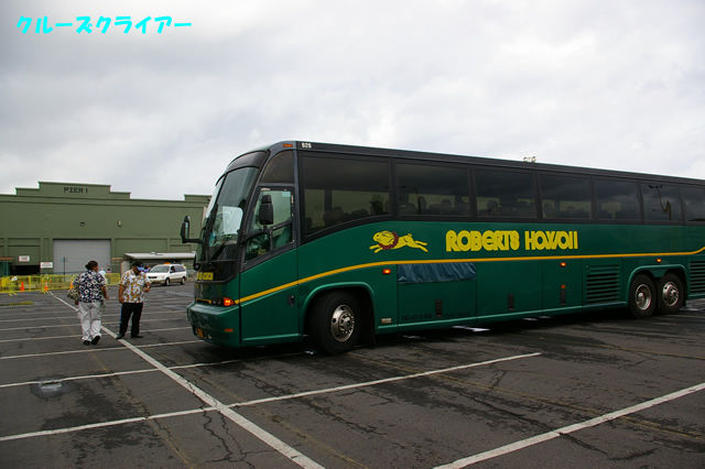 IMGP4570.jpg