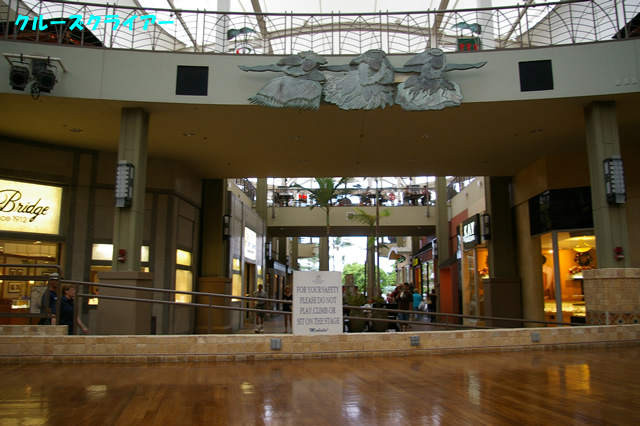 IMGP4575.jpg