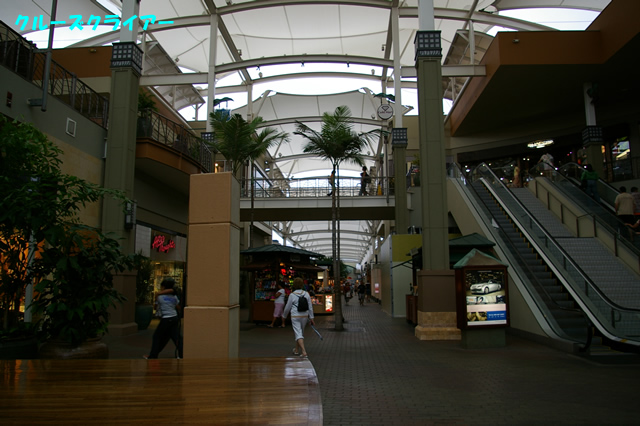 IMGP4576.jpg