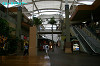 IMGP4576_thumb.jpg