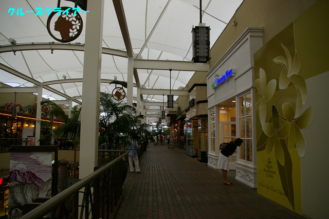 IMGP4584.jpg