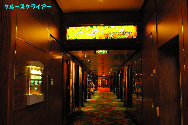 IMGP4606.jpg
