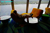 IMGP4715_thumb.jpg