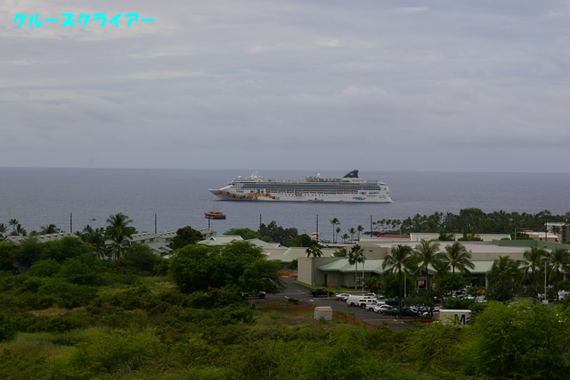 IMGP4740.jpg