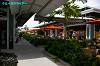 IMGP4751_thumb.jpg