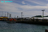 IMGP4757_thumb.jpg