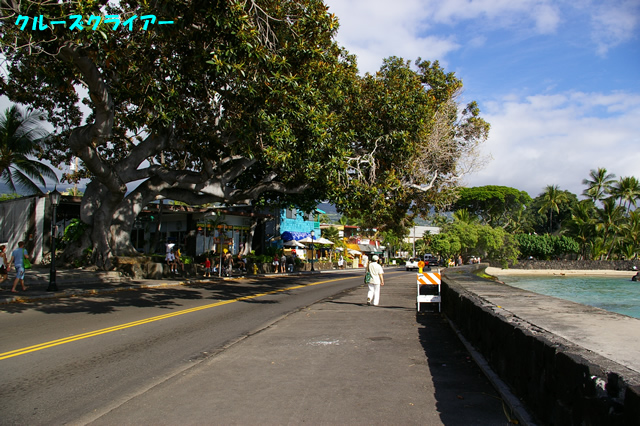 IMGP4763.jpg