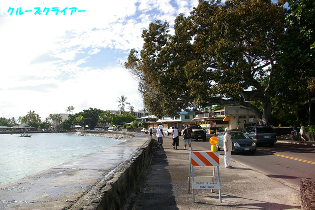 IMGP4769.jpg