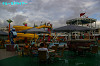 IMGP4792_thumb.jpg