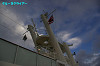 IMGP4816_thumb.jpg