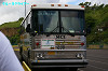 IMGP5009_thumb.jpg
