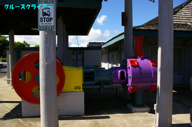 IMGP5014.jpg