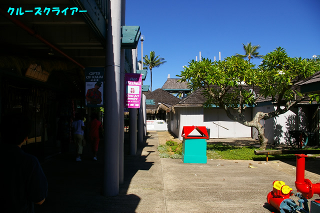 IMGP5015.jpg