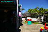 IMGP5015_thumb.jpg