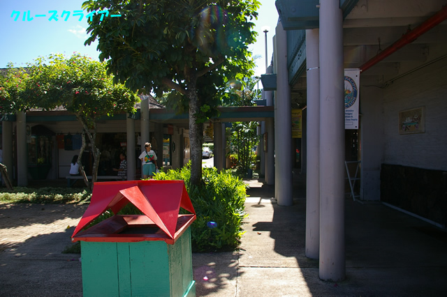 IMGP5016.jpg
