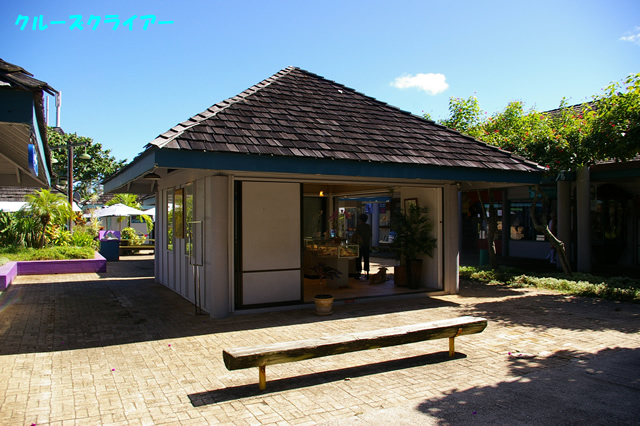 IMGP5017.jpg