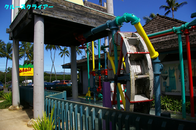 IMGP5022.jpg
