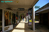 IMGP5023_thumb.jpg