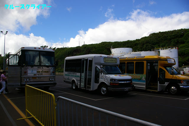 IMGP5033.jpg