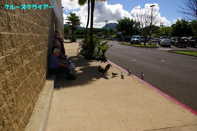 IMGP5041.jpg