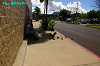 IMGP5041_thumb.jpg