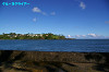 IMGP5049_thumb.jpg