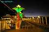 IMGP5068_thumb.jpg