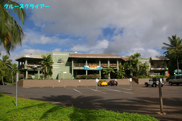 IMGP5100.jpg