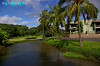 IMGP5102_thumb.jpg