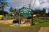 IMGP5109_thumb.jpg