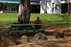 IMGP5126_thumb.jpg