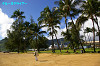 IMGP5130_thumb.jpg