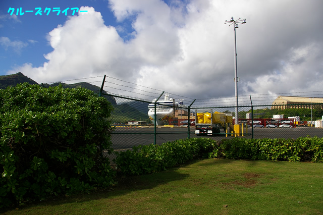 IMGP5131.jpg