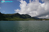 IMGP5150_thumb.jpg