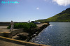 IMGP5170_thumb.jpg