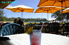 IMGP5204_thumb.jpg