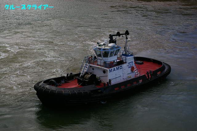 IMGP5251.jpg