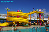 IMGP5307_thumb.jpg