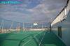 IMGP5350_thumb.jpg